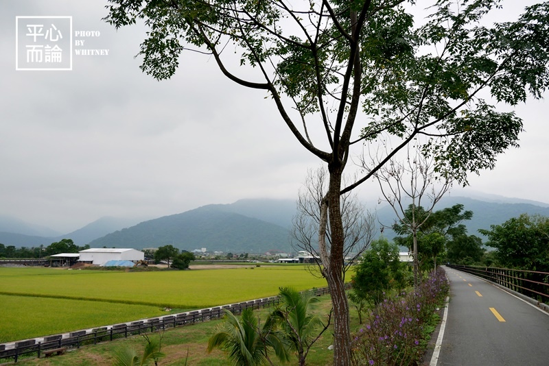 歐亞板塊及菲律賓海板塊交界處-周邊