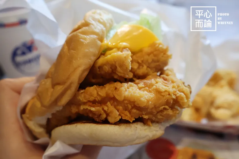 德州美墨炸雞 (6)